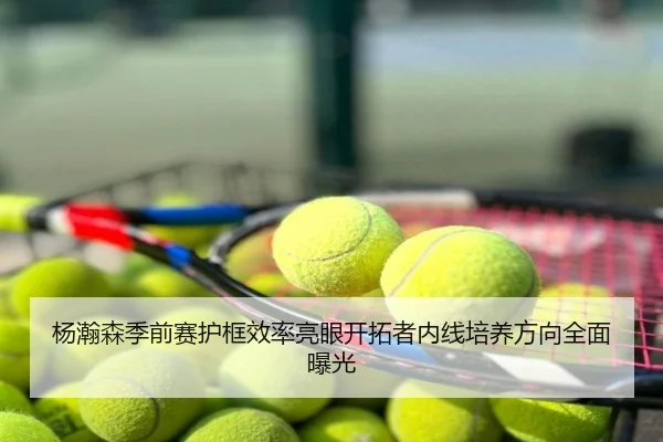 杨瀚森季前赛护框效率亮眼开拓者内线培养方向全面曝光